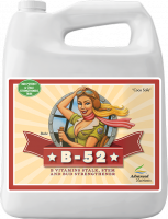  B-52 4000 ml,  19&nbsp;500 руб.